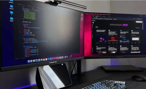Understanding The Software Development Life